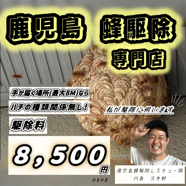 【蜂駆除料8,500円！】鹿児島専門のハチ駆除店